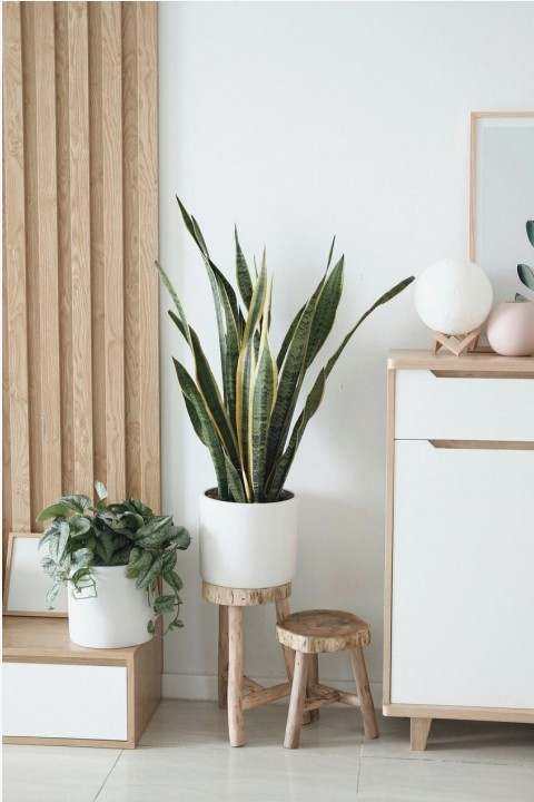 Sideboard Projekt 1
